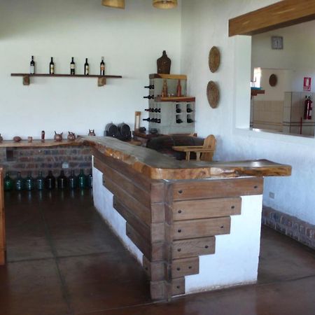 Casa Hacienda Nasca Oasis Hotell Nazca Exteriör bild