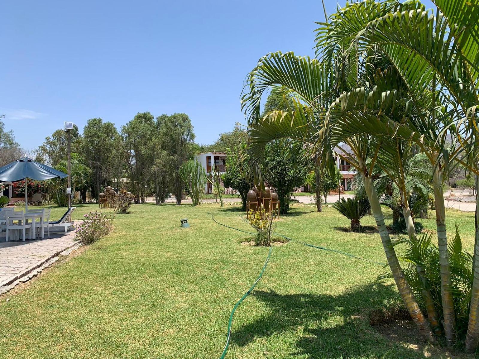 Casa Hacienda Nasca Oasis Hotell Nazca Exteriör bild