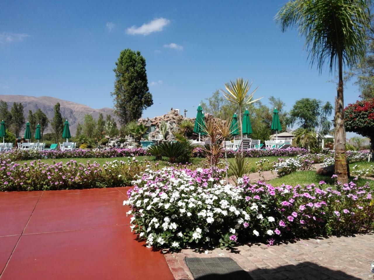 Casa Hacienda Nasca Oasis Hotell Nazca Exteriör bild